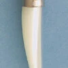 MP30: Mother Of Pearl Tusk With Cap 30mm Long Silver Cap - - 5 Pieces -Tailor Supplies Sales 2024 MP30 PendantsandCharms Shell